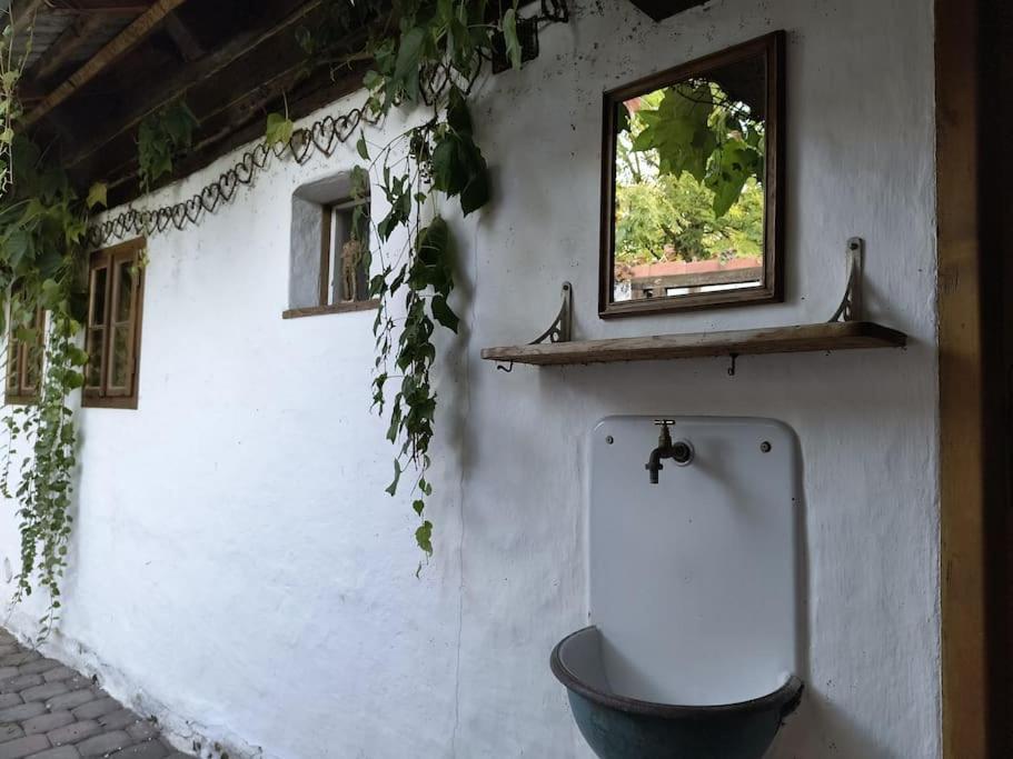 Chaloupka U Mostu Sv Jana V Centru Vodnan Vodňany Dış mekan fotoğraf