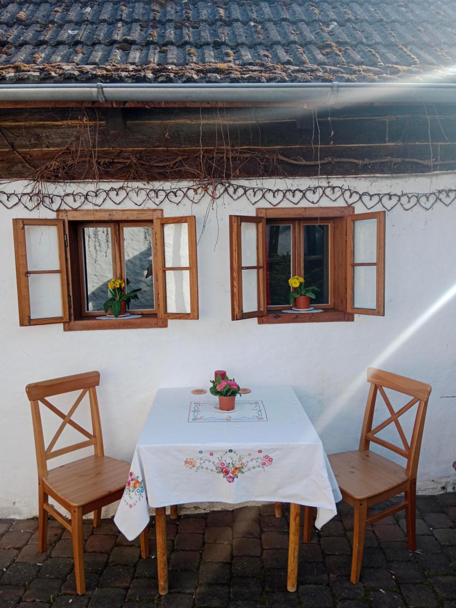 Chaloupka U Mostu Sv Jana V Centru Vodnan Vodňany Dış mekan fotoğraf